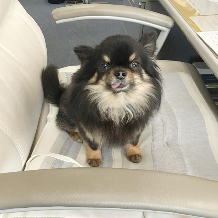 CEO